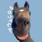 Squampopulous