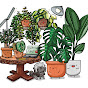 Everything Plants
