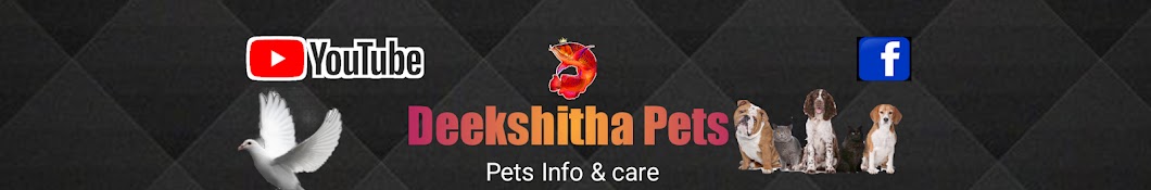 Deekshitha Pets Vlogs