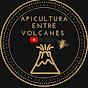 Apicultura entre volcanes 