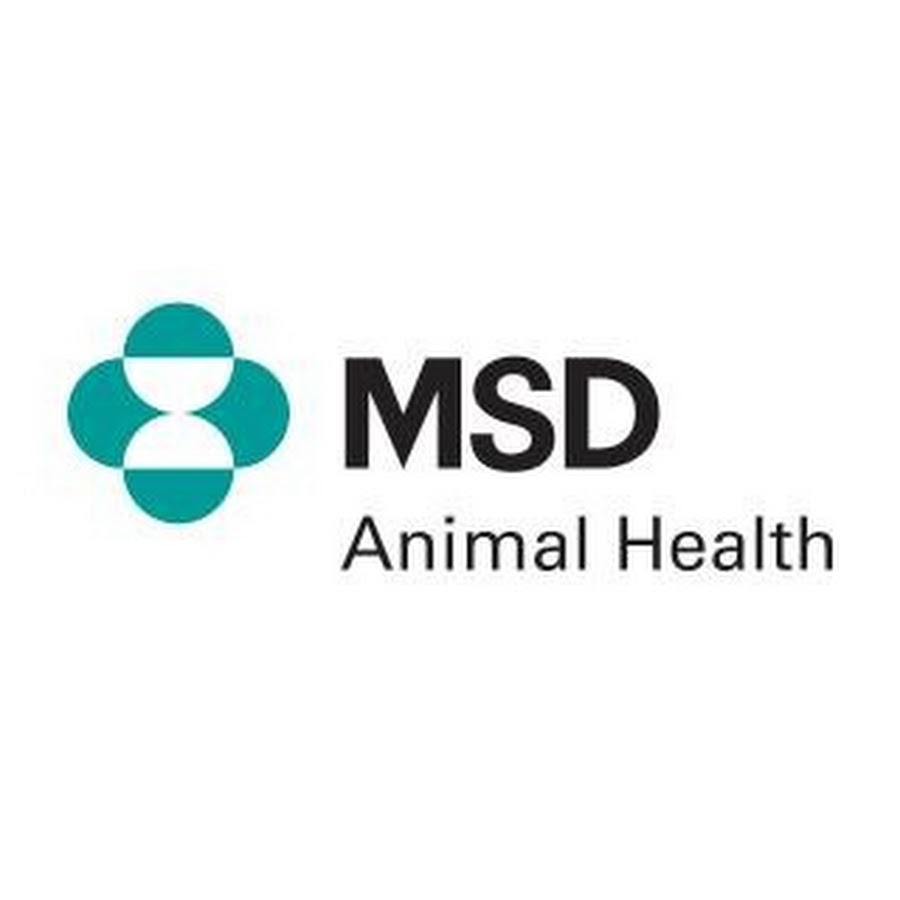 MSD Animal Health Ireland - YouTube