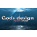 GODS DESIGN