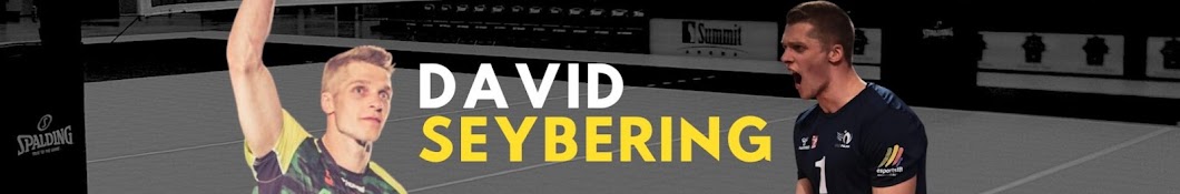 David Seybering 