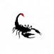 Black Scorpion