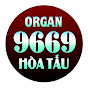 Organ 9669