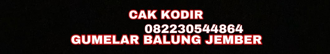 CAK Kodir motor