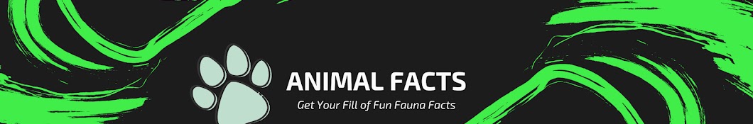 Animal Facts Banner