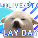 HOLOLIVE-STARS D-Lay Days