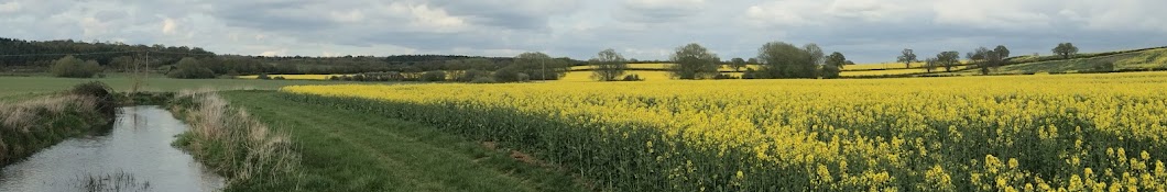 Atkins Catchment Science