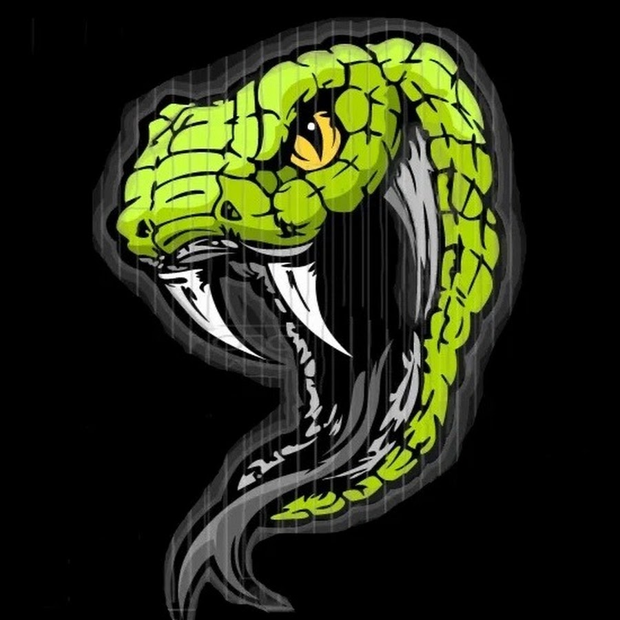 Аватарка змей. Зелёная змея Гюрза. Гюрза и Кобра. Змея на аву. Крутые змеи.