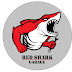 RED SHARK GARAGE