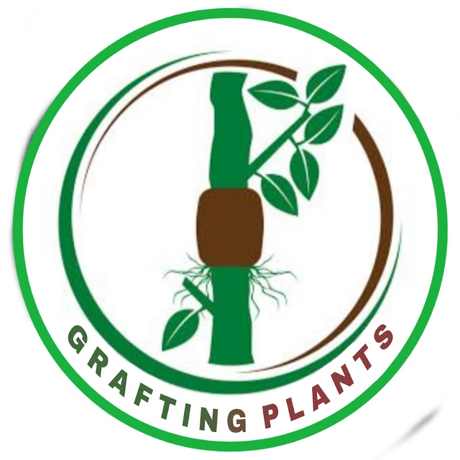 grafting-plants-youtube