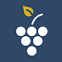 Online Wine Courses