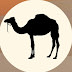 logo Camel Records