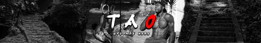 Tao Physique Banner