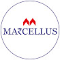 Marcellus Investment Managers