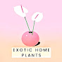 Exotic home plants