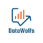 DataWolfs