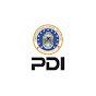 PDI INTERNATIONAL