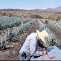 El Agro en Jalisco