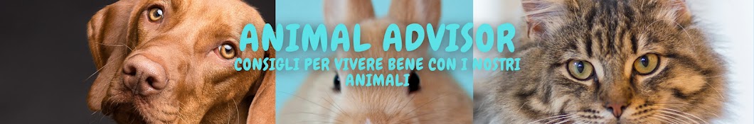 AnimalAdvisor