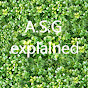 ASG explained