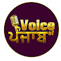Voice of Punjab