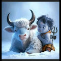 Artist Thumbnail