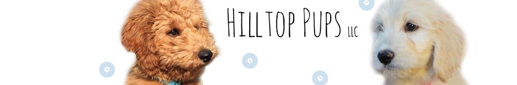 Hilltop Pups LLC