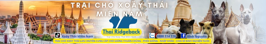 Chó Xoáy Thái Miền Nam