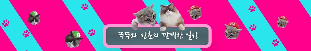 뚜뚜와 칸초의 깜찍한 일상