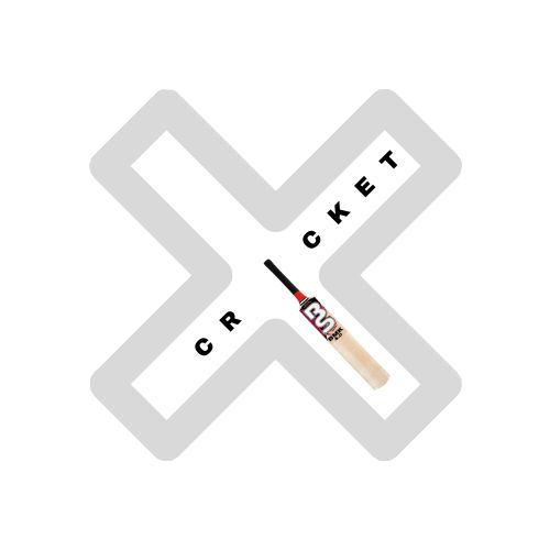 UCWiAI2OT151xOvynLPN3hFg