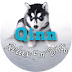 Qinn - Relax For Dog