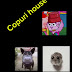 Copuri house