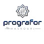 prografor