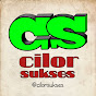 Cilor Sukses