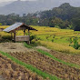 SAUNG SAWAH 