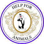 Помощь Животным