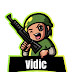 logo vidicby