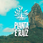 Planta & Raiz