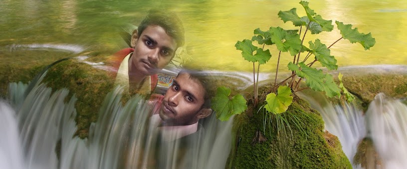 Artist Thumbnail