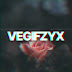 logo VegifHvH