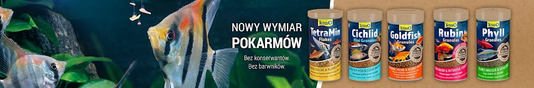 Tetra - akwarystyczne inspiracje