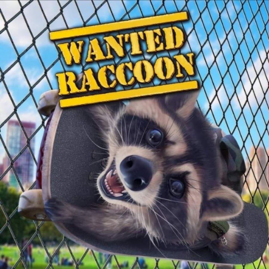 WANTED RACCOON - YouTube