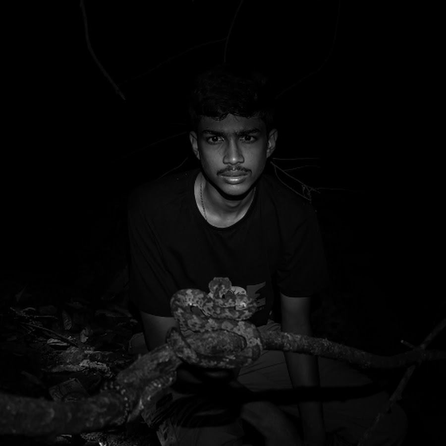 Bhdwild youtube