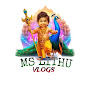 MS Lithu Vlogs