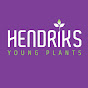 Hendriks Young Plants