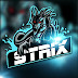 logo StrixSinghYT