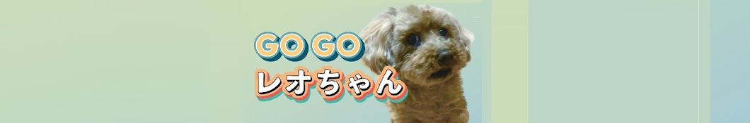 GOGOレオちゃん - トイプードル