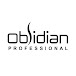 Obsidian professional